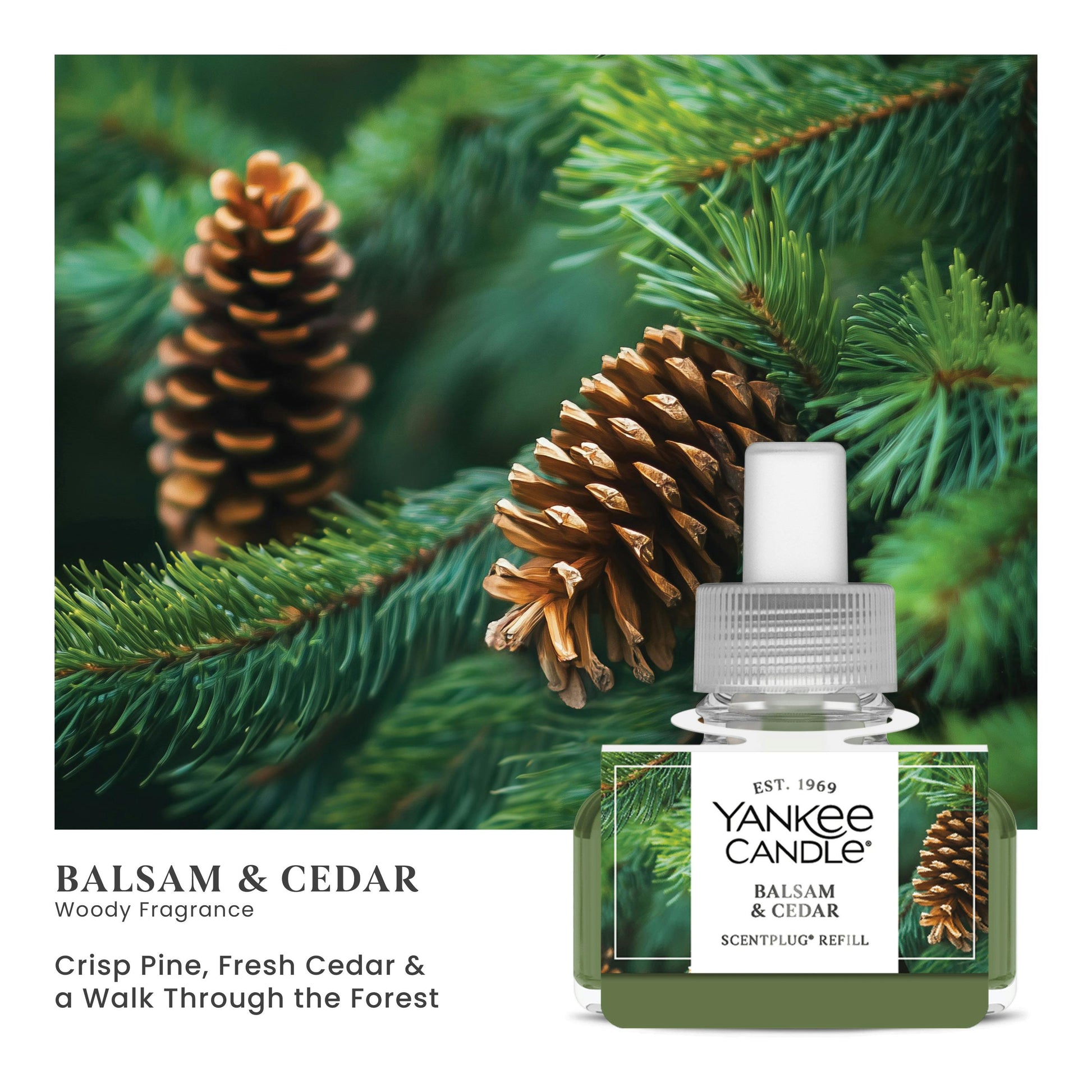 Balsam & Cedar ScentPlug® Refill