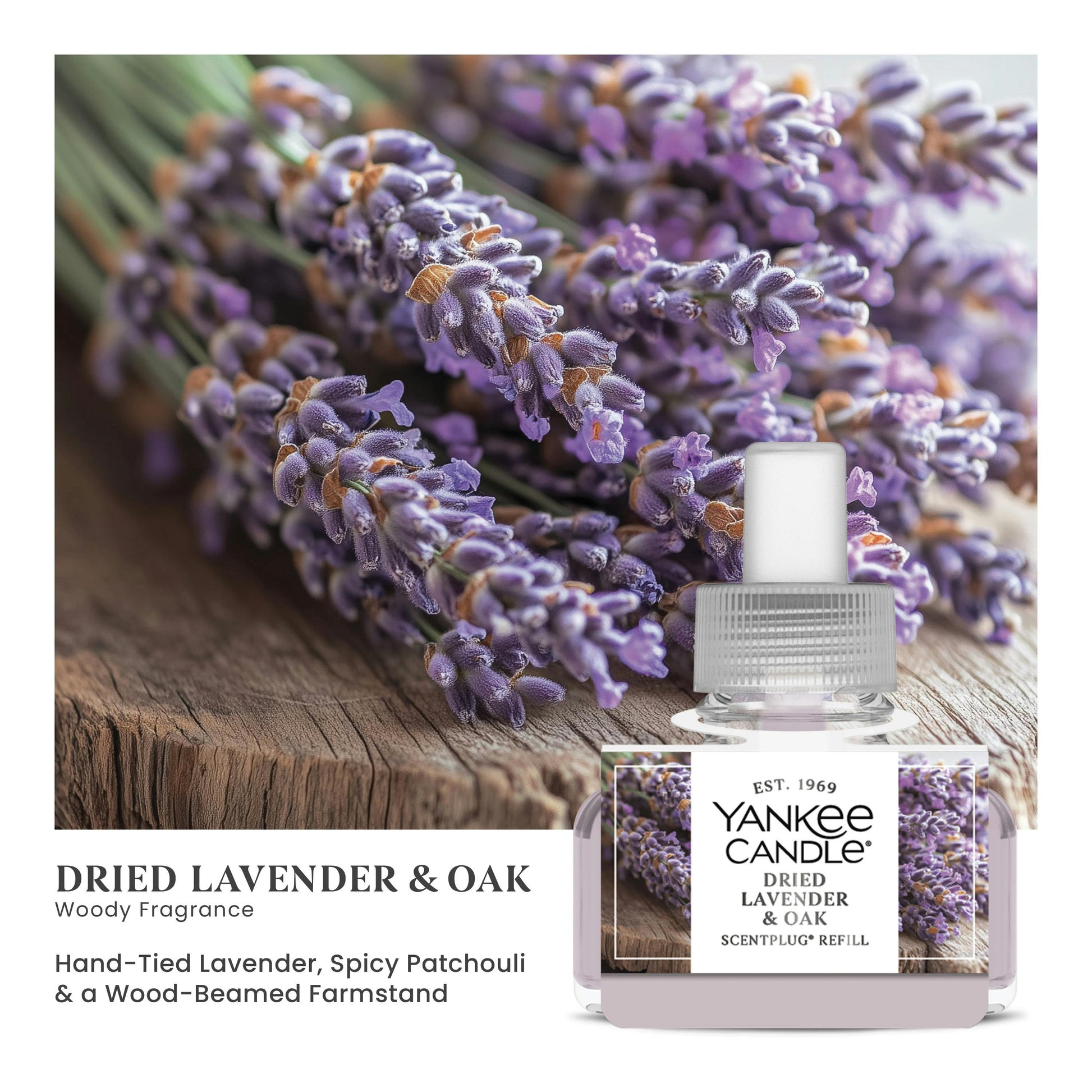 Dried Lavender & Oak ScentPlug® Refill